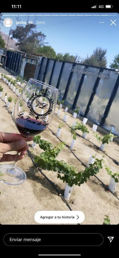 La Finca De Vane Valle de Guadalupe Dış mekan fotoğraf