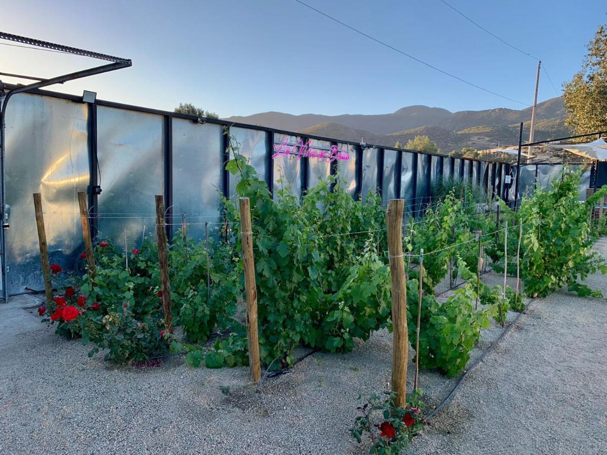 La Finca De Vane Valle de Guadalupe Dış mekan fotoğraf