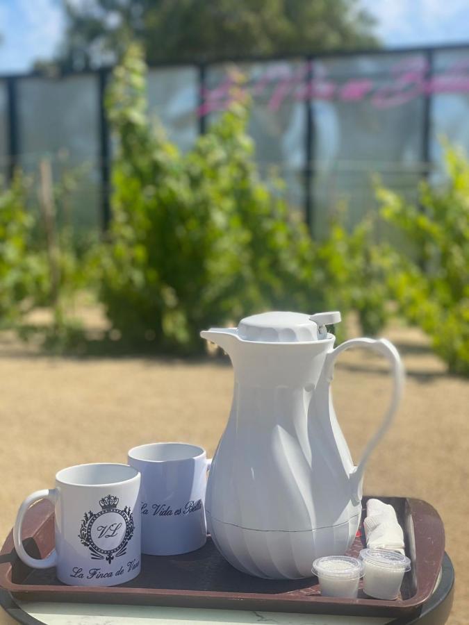 La Finca De Vane Valle de Guadalupe Dış mekan fotoğraf
